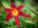 BotanischerGarten
